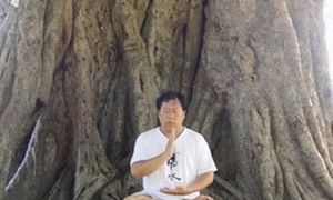 Точка Входа